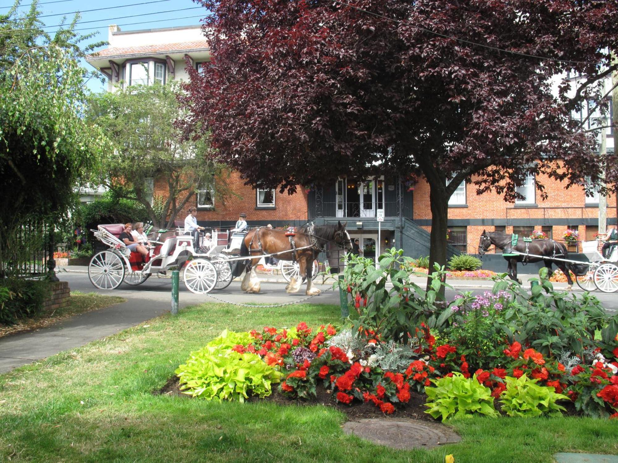 James Bay Inn Hotel, Suites & Cottage Виктория Экстерьер фото